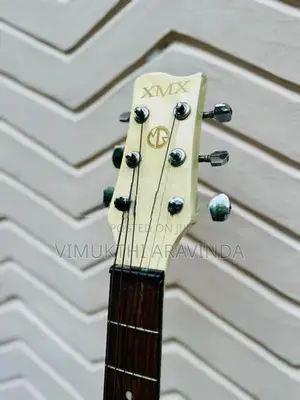 Acoustic guitar