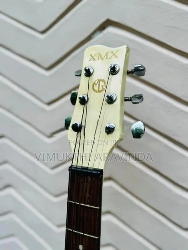 Acoustic guitar