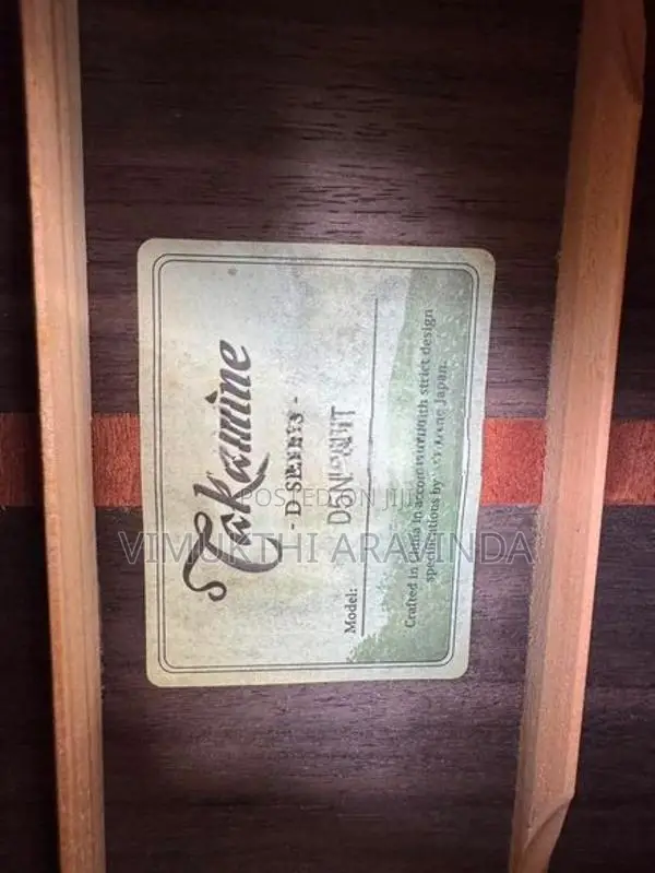 Takamine acoustic guitar