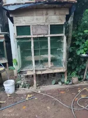 කුරුලු කූඩු
