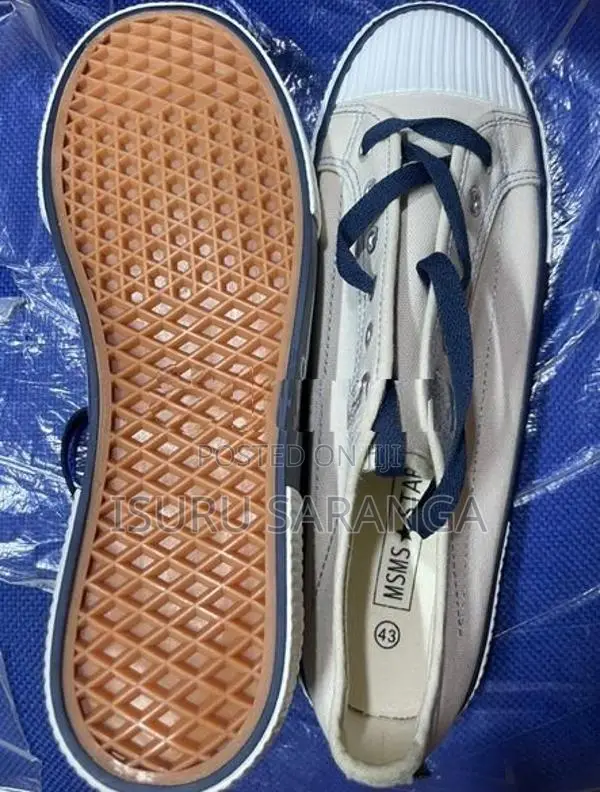 Canvas Shoes