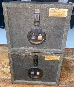 Dual Surround Speakers