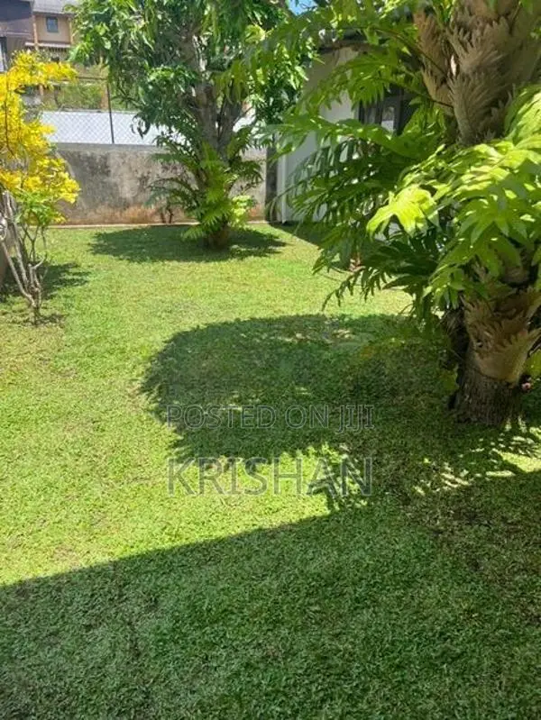malaysian grass