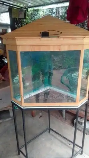Fish Tank