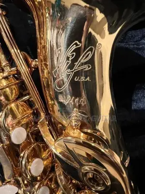 VIF USA Alto Saxophone