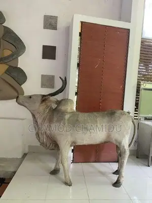 ලී කරත්ත