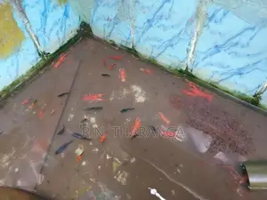 crayfish