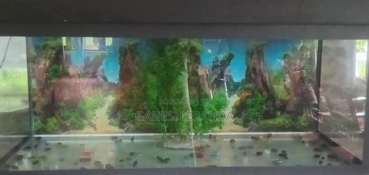 මාළු ටැංකියක්