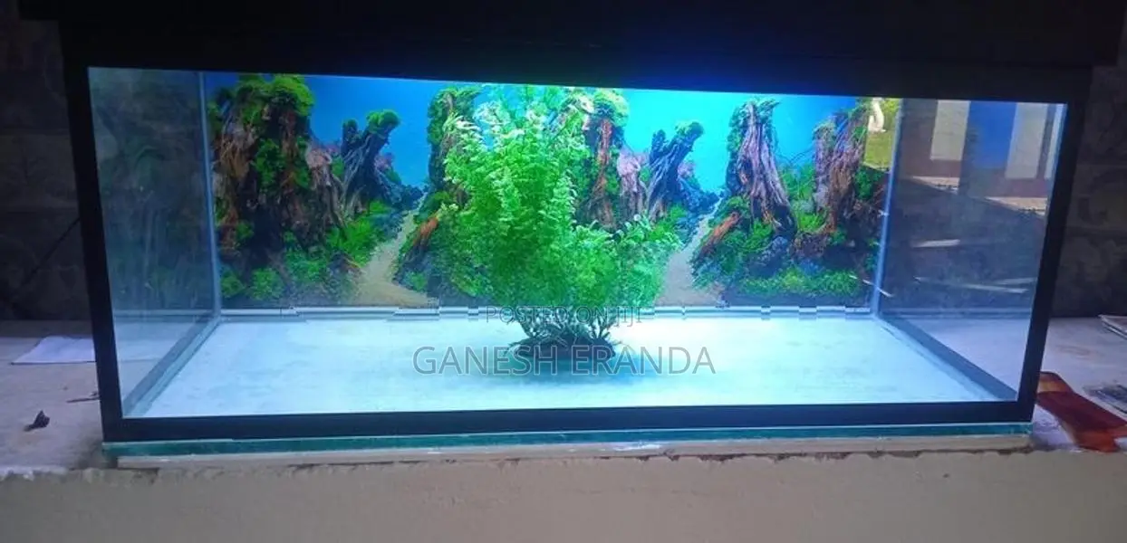 මාළු ටැංකියක්