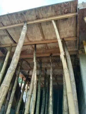 Used Wooden Ceiling Planks