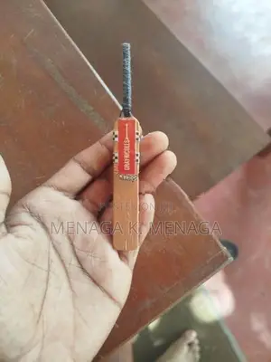 Mini Cricket Bat