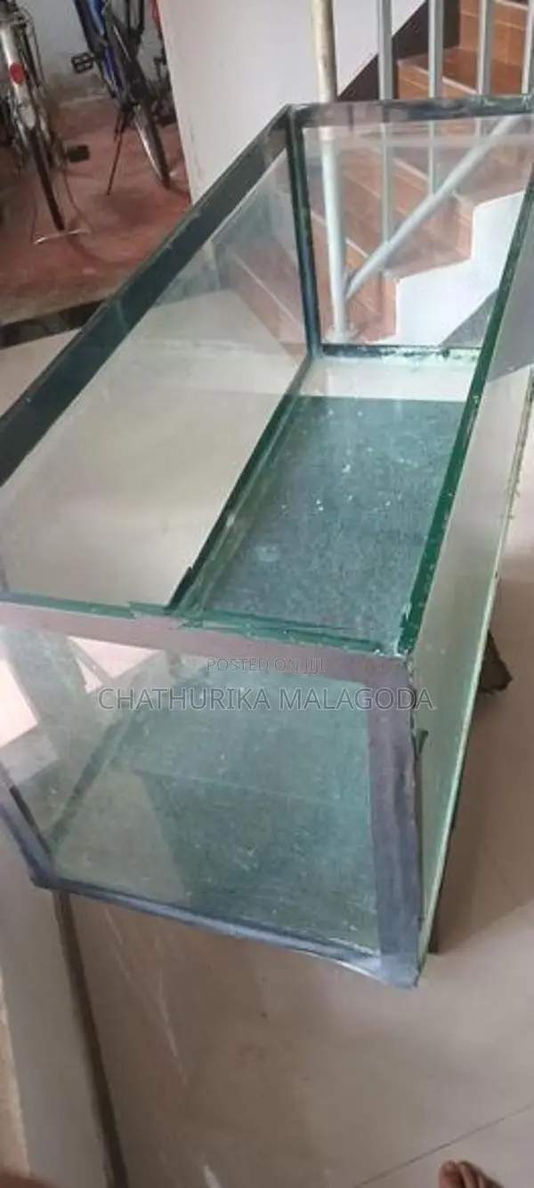 4 feet fish tank