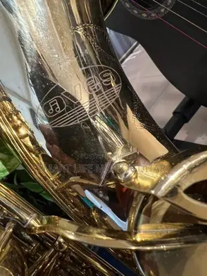 AVES Alto Saxophone