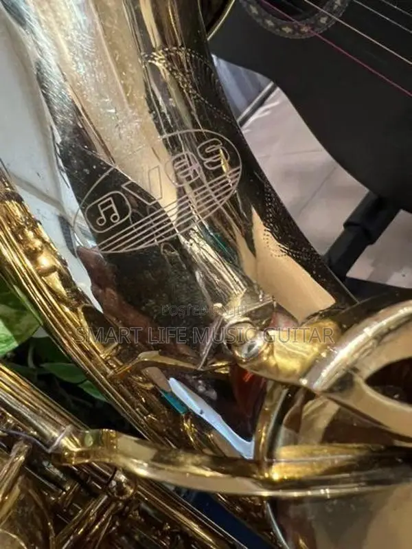 AVES Alto Saxophone