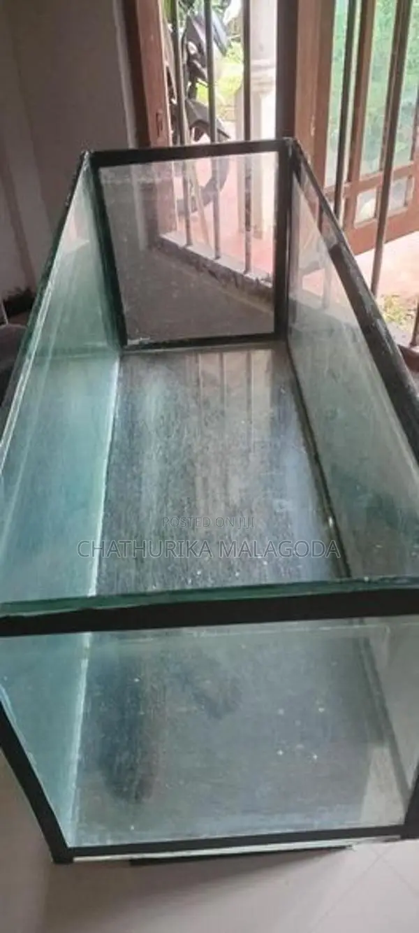 4 feet fish tank