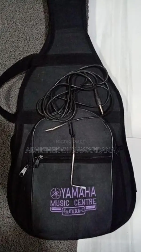 Electric Guitar Aria Pro ii with Yamaha casing