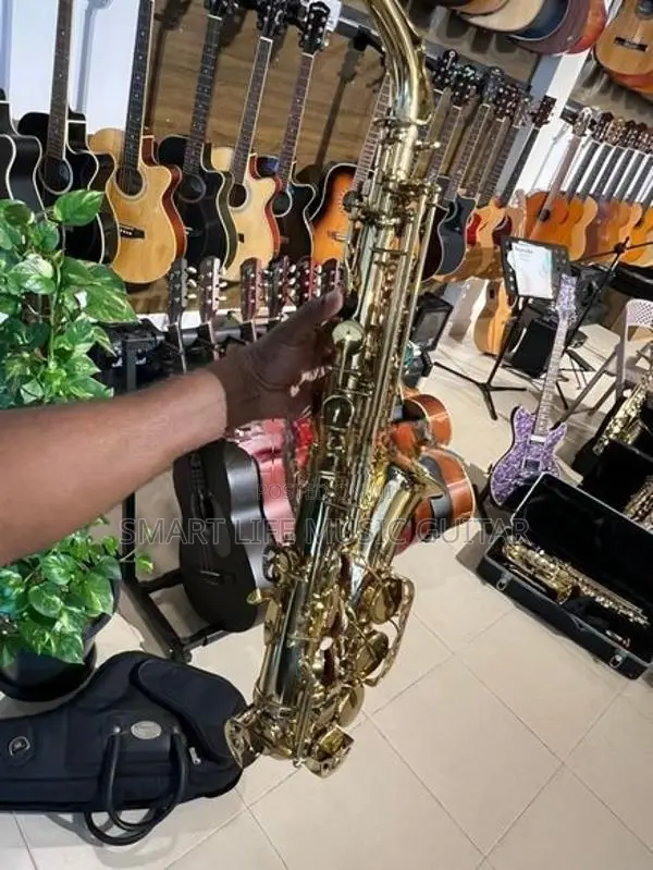 AVES Alto Saxophone