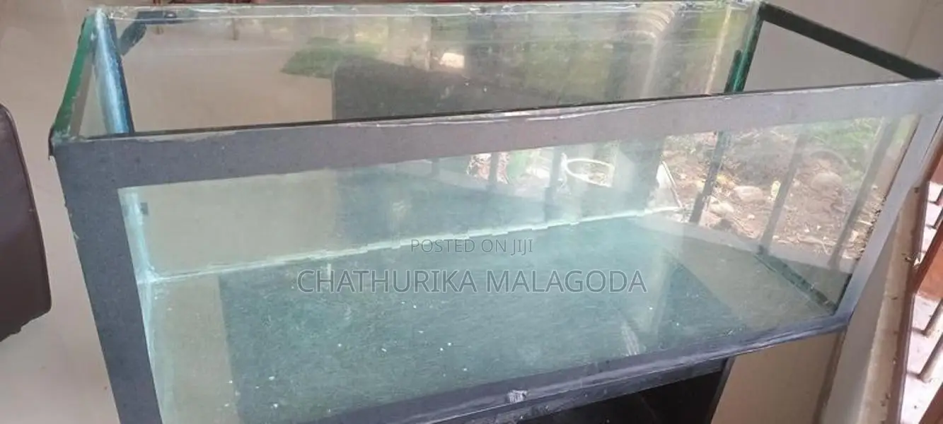 4 feet fish tank