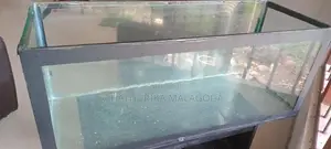 4 feet fish tank
