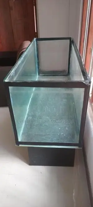 4 feet fish tank
