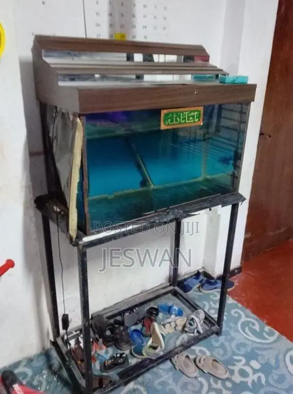 Fish Tank