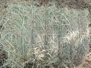 வைக்கோல் கட்டு