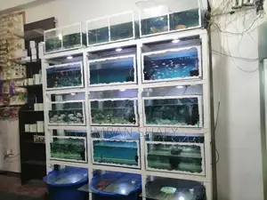 2' Fish Tank Set