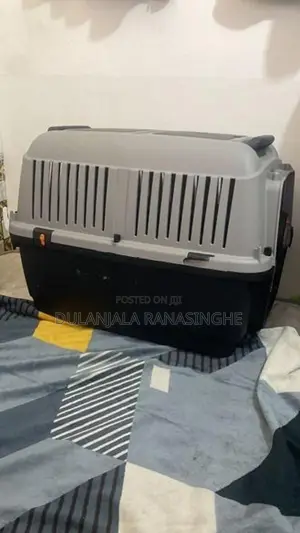 Dog Cage/Crate
