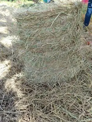 வைக்கோல் கட்டு