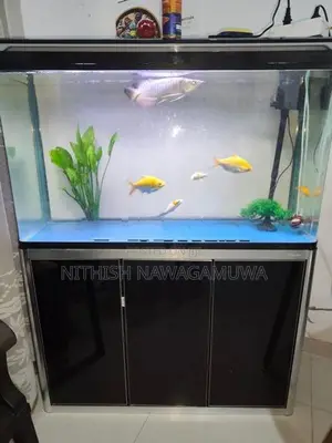 Aluminium Curved Aquarium Set