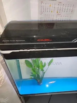 Aluminium Curved Aquarium Set