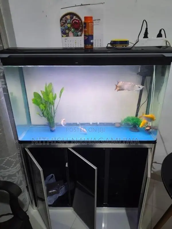 Aluminium Curved Aquarium Set