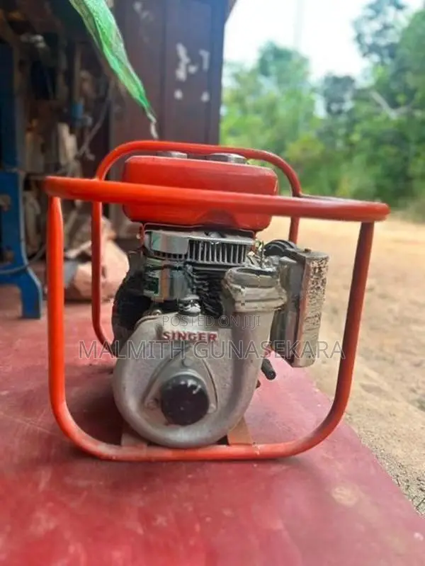 Singer Water Pump