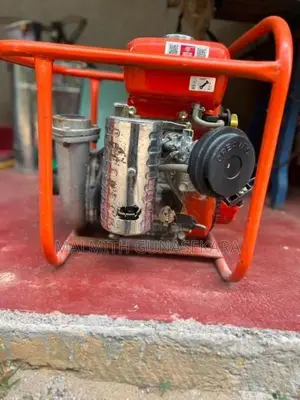 Singer Water Pump