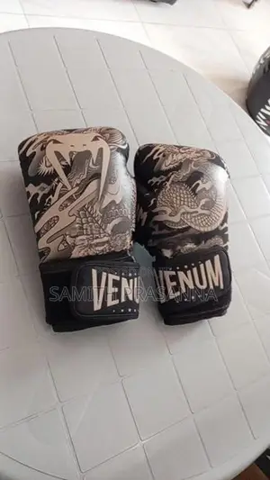 Punching bag and gloves