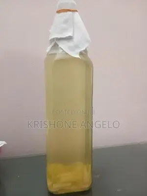 Vinegar eels fish food