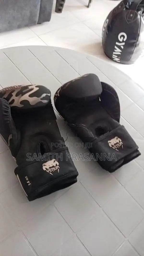 Punching bag and gloves