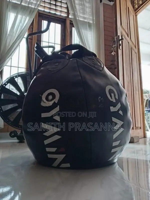 Punching bag and gloves