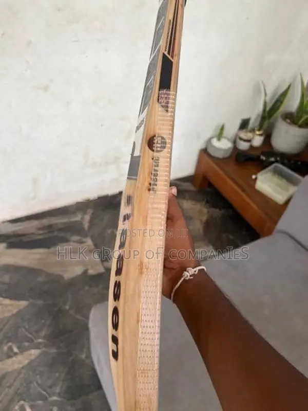 SS English Willow Cricket Bat