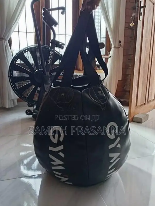Punching bag and gloves