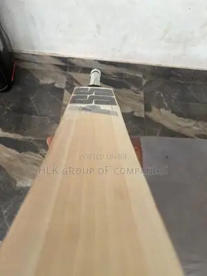 SS English Willow Cricket Bat