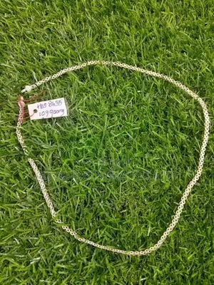 Silver Chain