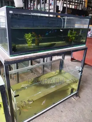 Fish Tank with Stand