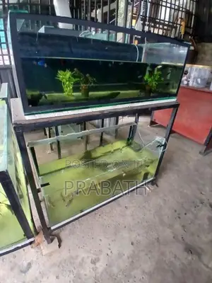 Fish Tank with Stand