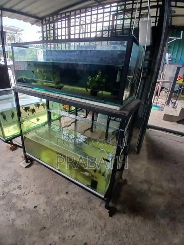 Fish Tank with Stand