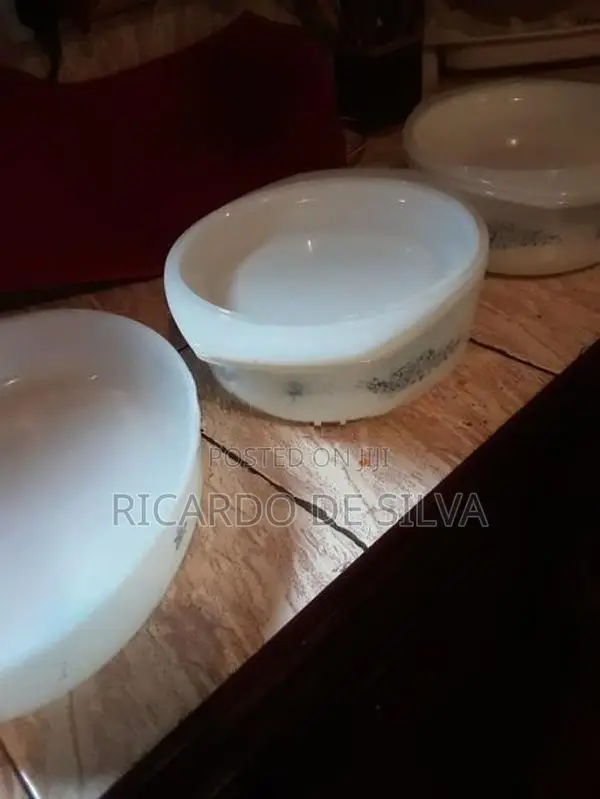 2 Noritake Deep Dishes with Lids 1 Large Dish