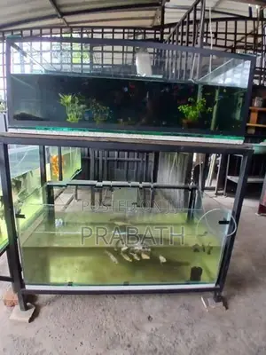 Fish Tank with Stand