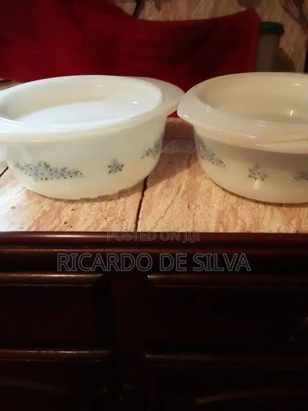 2 Noritake Deep Dishes with Lids 1 Large Dish