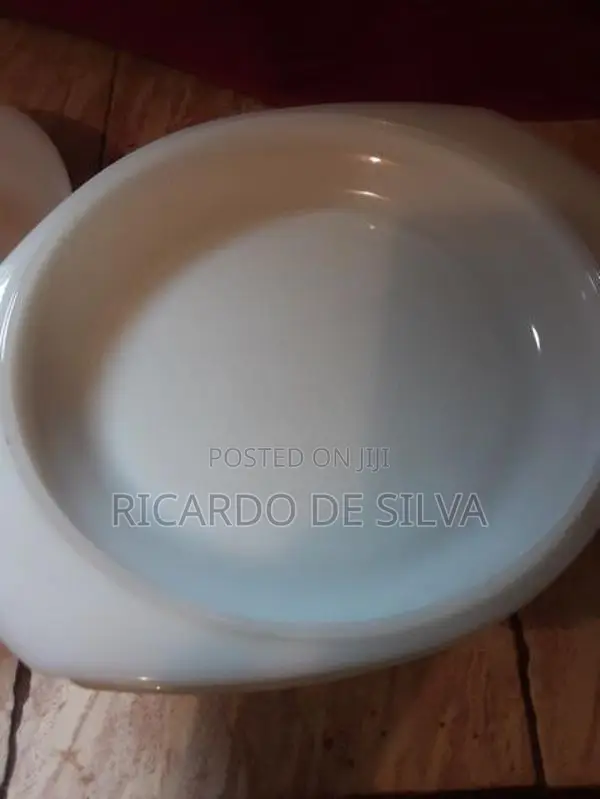 2 Noritake Deep Dishes with Lids 1 Large Dish