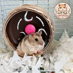 Dwarf Hamster